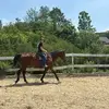 Anna Whitney - @anna.whitney0 - TikTok