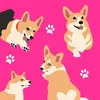 anna_grace_whitson - @the_whitsons_life - TikTok
