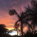 Anna Whitson - @artificial_anna - Instagram