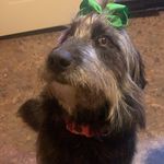 Anna Kathryn Whitten - @thatsnotdanny - Instagram