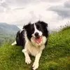 annwickenden - @annwickenden - TikTok