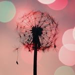 Anna Wiegand - @_anna_wiegand - Instagram