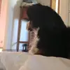 Anna Wieger - @annawieger - TikTok
