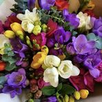 Anna Helena Wiersma - Facebook
