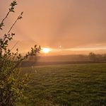 @_annawiesner_ - Instagram