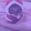 lucyannawiest1 - @lucyannawiest1 - TikTok