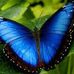 Anna Wigley - Facebook