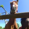 annawiktor7 - @annawiktor7 - TikTok
