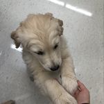 Anna Wilbur - @annaisgay26 - Instagram