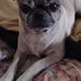 Anna Wilhoite - Facebook
