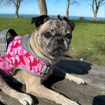 Anna Wilhoite - @annawilhoite - Instagram