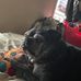 Anna Wilhoite - Facebook
