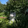 Anna Willberg - @anna.will.berg - TikTok