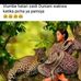 Anna Wille - Facebook