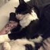 Anna Willette - Facebook