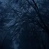 annawilley7 - @annawilley7 - TikTok