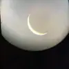 anna.willhite - @anna.willhite - TikTok
