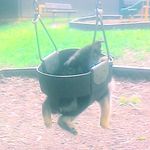 Anna Willoughby - @annawilloughby11 - Instagram