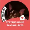 annawilloughby353 - @annawilloughby353 - TikTok