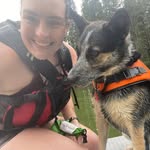 Anna Wiltse - @annawiltse - Instagram
