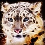 Anna_wines - @annawines9 - Instagram
