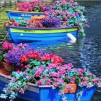 Anne Wininger - Facebook