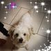 Anna Winland - Facebook