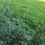 @annawinner2020 - Instagram