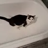 Anna.wirt - @anna.wirt - TikTok