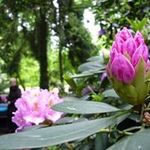 Anna Witczak-Meroniuk - @ana11120 - Instagram