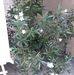 Anna Witek - Facebook
