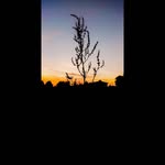 Anna Witek - @_photography_by_ann - Instagram