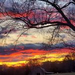 Anna Gail Dixon Workman - @annagailworkman - Instagram