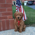 Anna Worthington - @fallstonfirstlady - Instagram