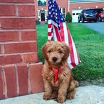 Anna Worthington - Facebook