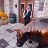 Anna Wysocka - @anna.wysocka87 - TikTok