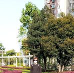 Anna Yip - Facebook