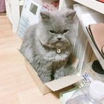 Anna Yip - @annayipppp - Instagram