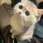 Anna Yip - @delly_1214hk - Instagram