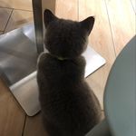Anna Yip - @annayip0111 - Instagram
