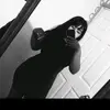 Anna Zepeda - @annazepeda01 - TikTok