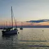 Anna Ziegler - @annaziegler8 - TikTok