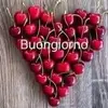 Annna.M.Zingaro - @annazingaro1 - TikTok