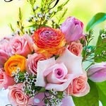anna zuccaro - @zuccanna1961 - Instagram