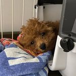 Collins Annabel - @annabelcollins0147 - Instagram