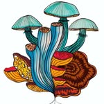 Annabel King - @mind_mushrooms - Instagram