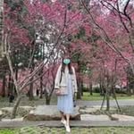 Annabel Lin - @annabel_0826 - Instagram