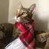 Annabel Martinez - @annabel_d210 - TikTok