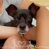 annabelmartinez34 - @annabelmartinez34 - TikTok