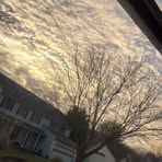 Annabelle Robbins - Facebook